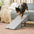 2-in-1 Convertible Wooden Home Step Stool Dog Ramp Stairs