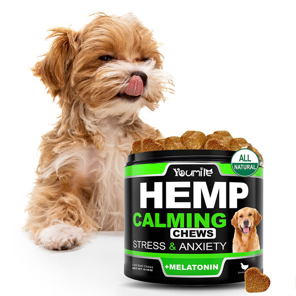 Calming Soft Chews for Dogs - Reduces Anxiety, Storms and Separation Stressand